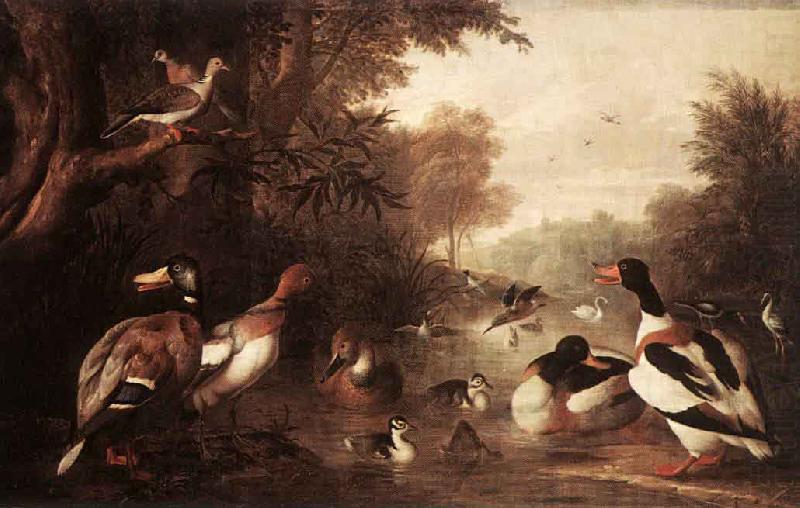 Jakob Bogdani Landscape with Ducks china oil painting image